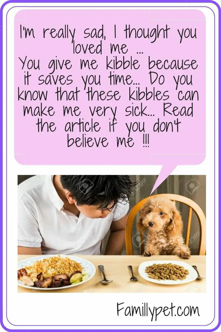 Why kibble is bad food for puppies? 