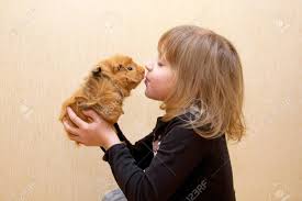 Guinea pigs and kids