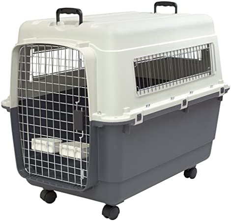 Plastic crate to crate train a puppy