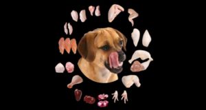 parts of chicken i can give to my dog