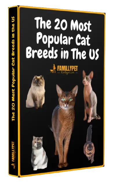 Cat breeds pdf