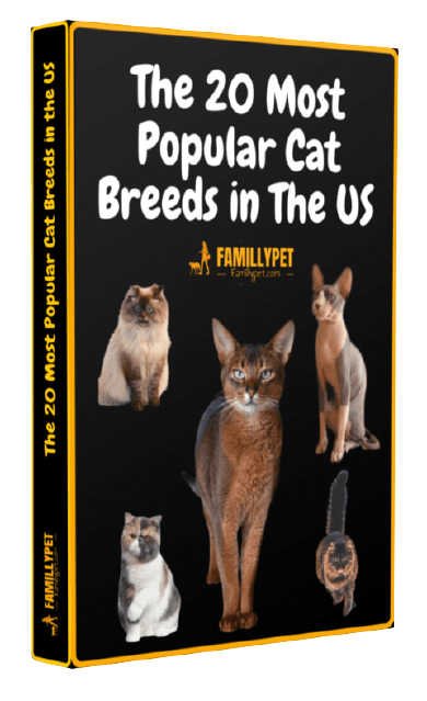 Book pdf cat breeds
