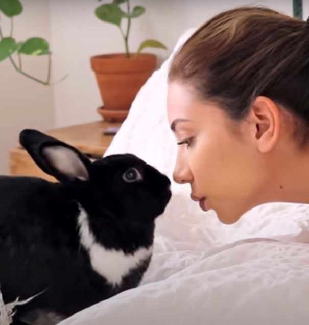 show your rabbit that you love him by reducing tensions between you