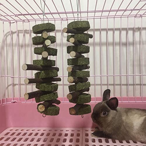BEST CHEW TOYS FOR BUNNIES