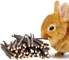 chew material for bunnies