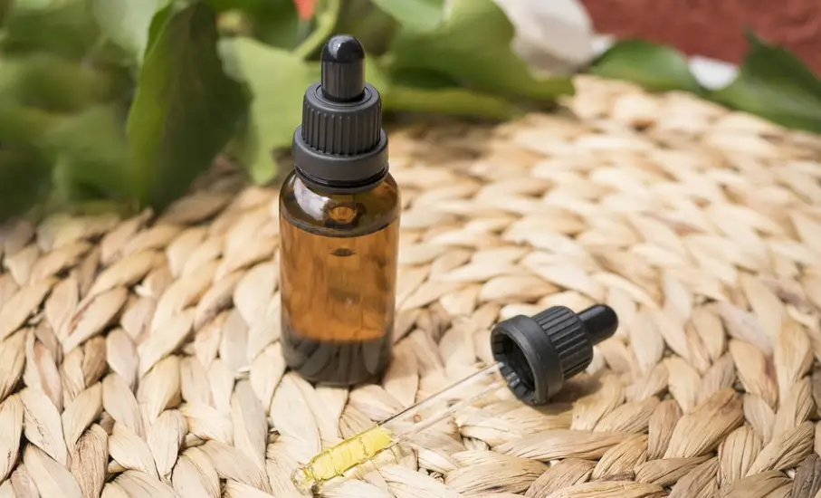 Safe ways to use CBD oil for your pet
