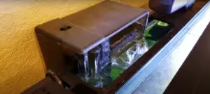 best axolotls water filtering system