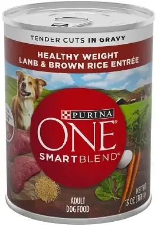 Purina-O.N.E.-SmartBlend-Adult-Wet-Dog-Food