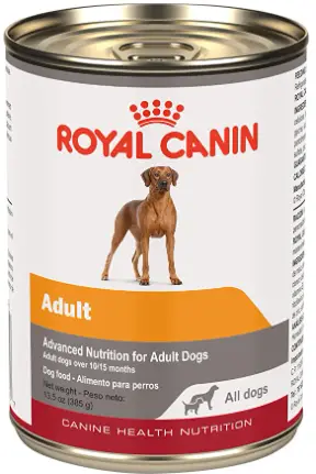Royal Canine Digestive Care Wet Canned Dog Food.png