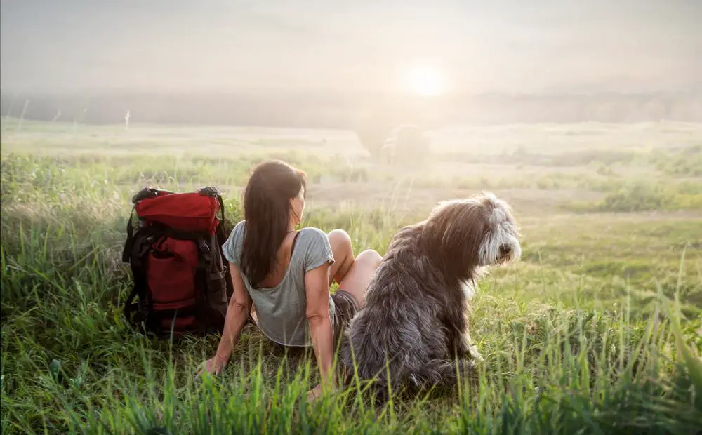 Best Tips When Hiking With Your Dog