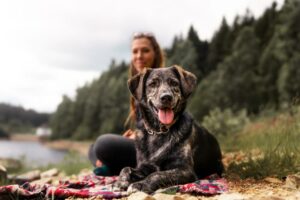 Best 10 tips when hiking with your dog