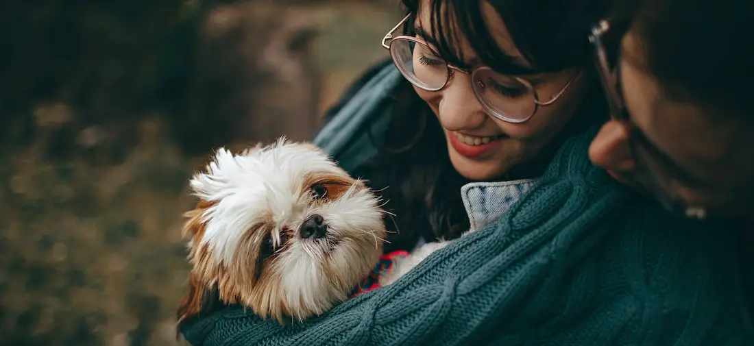 The best Ways to Build a Stronger Bond with Your Pet
