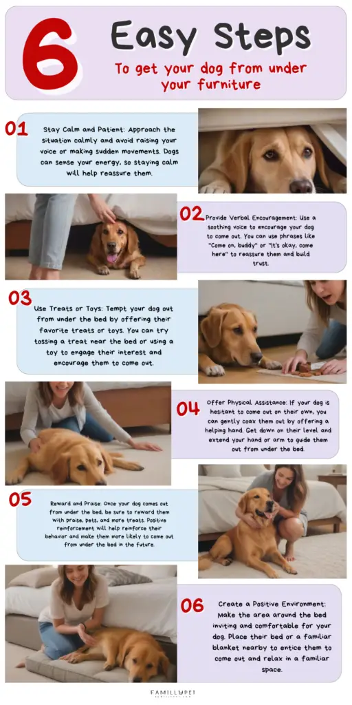 Infographic on how to step by step coax your dog from under your furniture using treats and positive reinforcement
