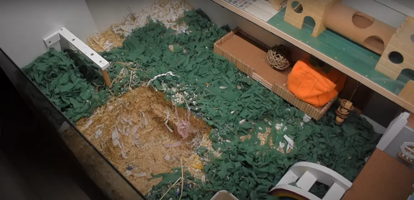 Keep Your Hamster's Home Clean