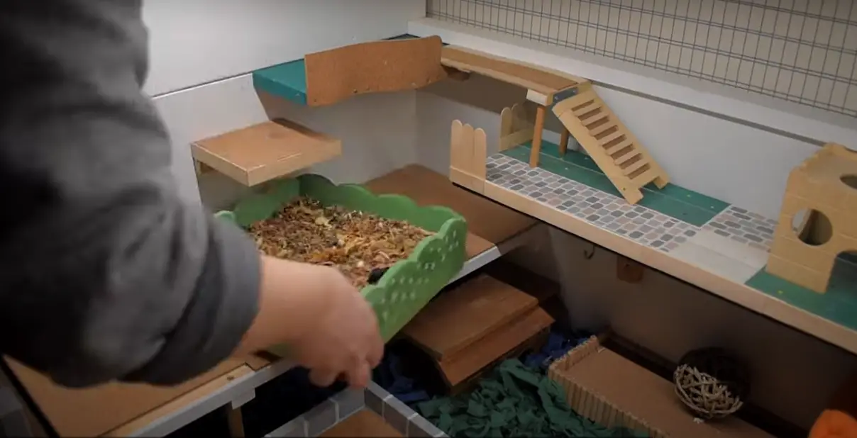 Deep Cleaning A Hamster Cage 